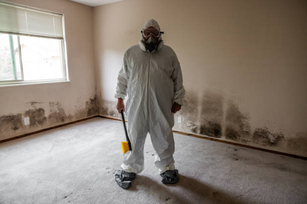 Best Emergency Mold Remediation  in Warrenton, OR